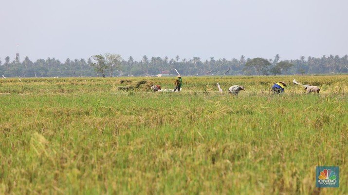 Prabowo: Birokrasi Rumit Hambat Akses Petani Terhadap Pupuk