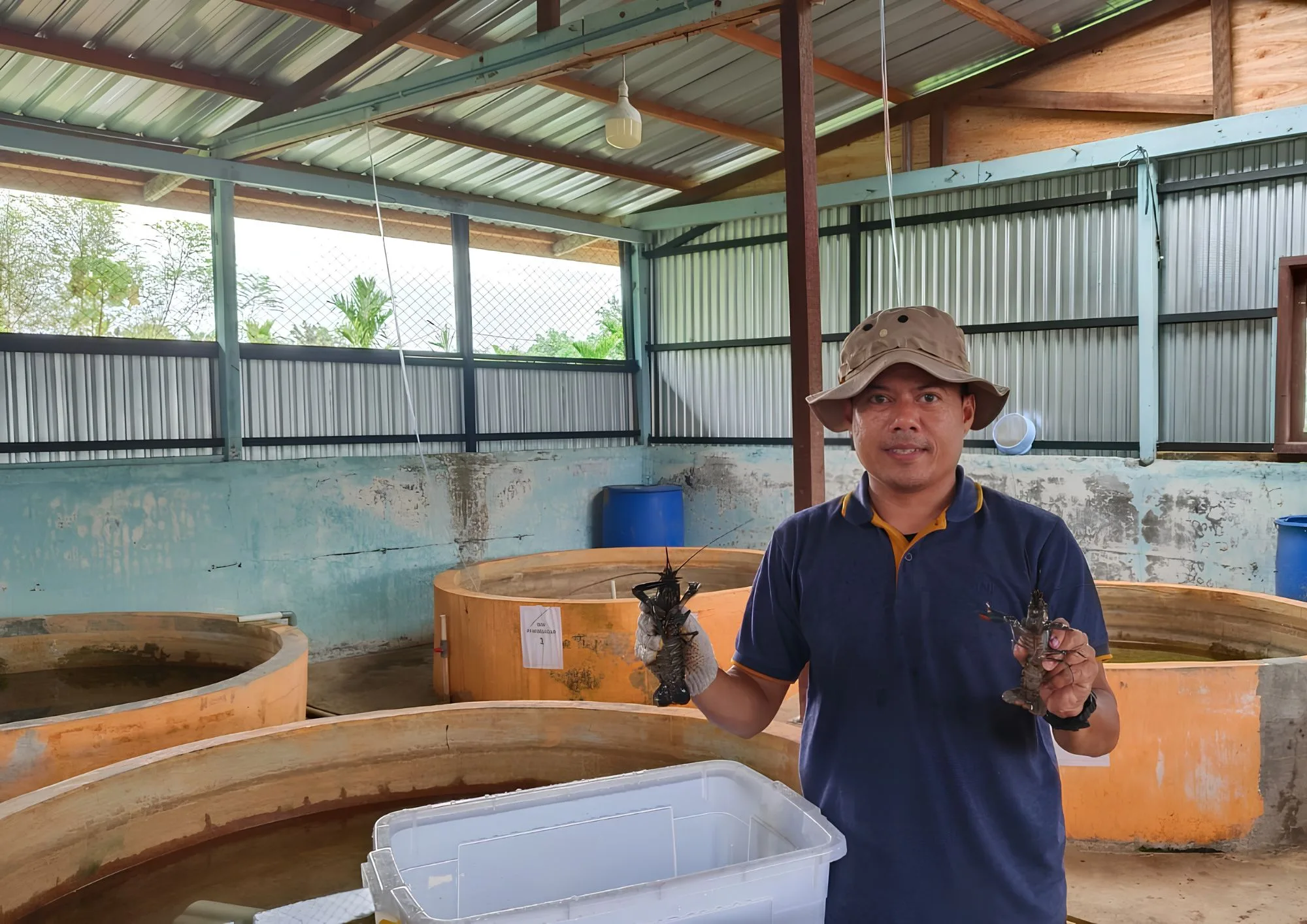Seorang petugas di Hatchery Universitas Teuku Umar, Aceh Barat memperlihatkan benih ikan hasil budidaya. Foto Dok UTU