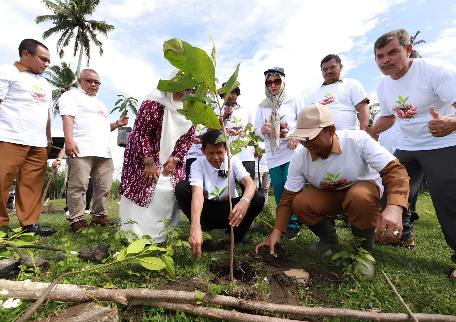 UTU dan Jaringan PTN Tanam Mangrove di Pantai Peunaga Cut Ujong