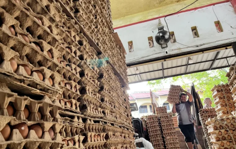 Pedagang telur di pasar Ulee Kareng. Foto Seputaraceh/Zulkarnaini masry