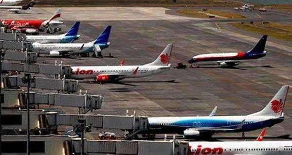 Maskapai Diminta Pertimbangkan Konsep Bagasi Berdasarkan Koper