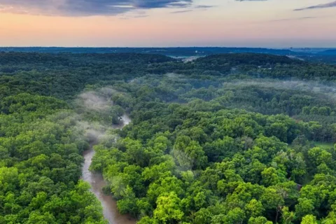 Hutan Adat Kampong Singgersing Subulussalam Selangkah Lagi Diakui