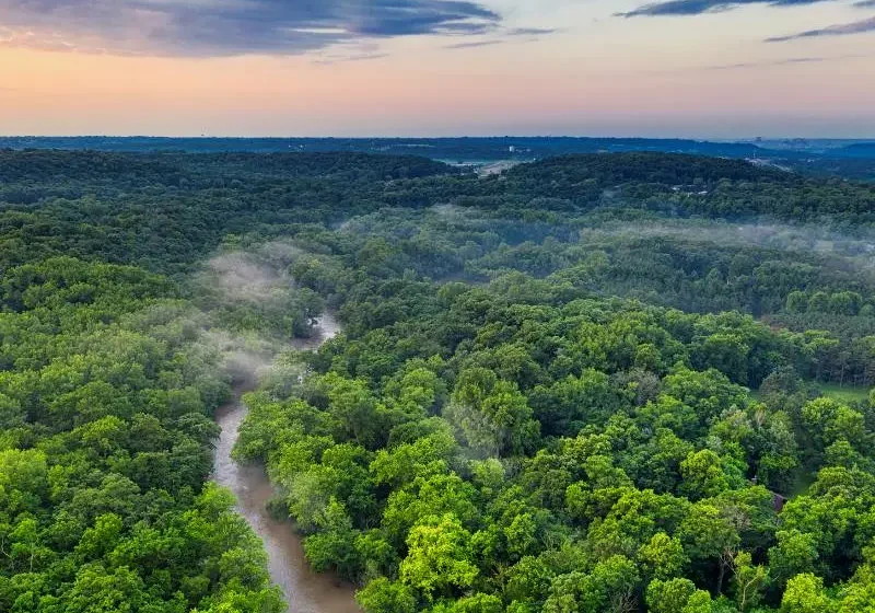 Hutan Adat Kampong Singgersing Subulussalam Selangkah Lagi Diakui