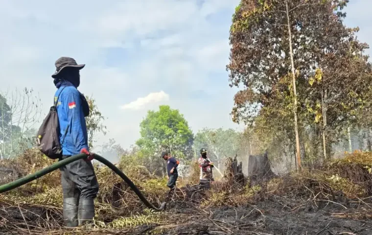 Kondisi terkini Karhutla di Aceh Barat (Foto: Dok. BPBD Aceh Barat)