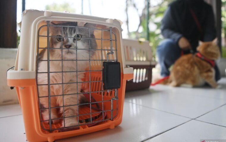 Jakarta Laksanakan Vaksinasi Rabies untuk Cegah Penyebaran