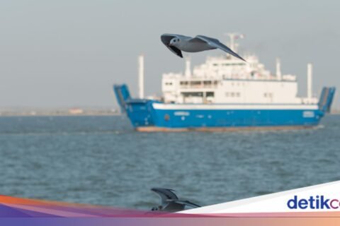 Kapal Virgo Transport 243 Penumpang Hilang Kontak di Laut Jawa