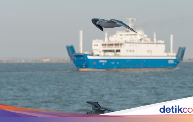 Kapal Virgo Transport 243 Penumpang Hilang Kontak di Laut Jawa