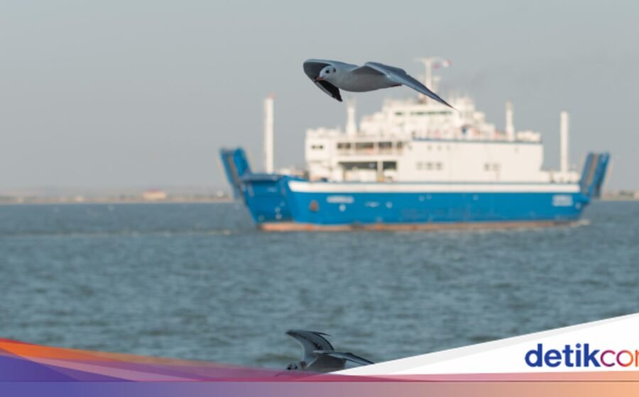 Kapal Virgo Transport 243 Penumpang Hilang Kontak di Laut Jawa
