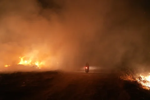 Kebakaran Hutan dan Lahan: Dampak Terus Berulang di Indonesia