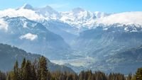 Kecelakaan Bus Wisata Belanda di Swiss, Korban Berjatuhan