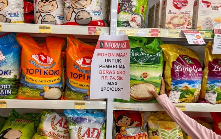Krisis Beras Ritel Modern: Penarikan 25 Merek Fortifikasi
