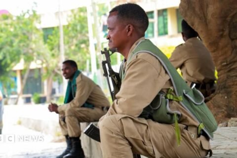 Militer Ethiopia Klaim Telah Repres Serangan dari Tigray