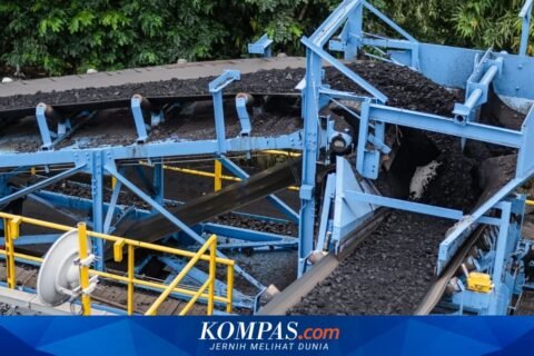 Saham PT Bukit Asam (PTBA) Naik 7 Persen, Apa Penyebabnya?