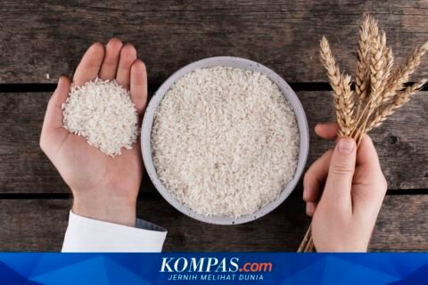Temuan 25 Merek Beras Fortifikasi Palsu di Pasaran