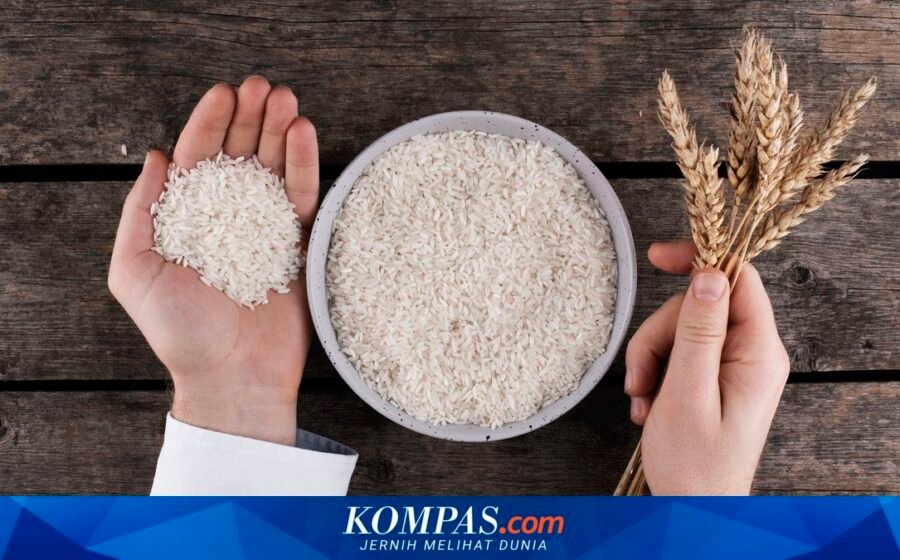 Temuan 25 Merek Beras Fortifikasi Palsu di Pasaran