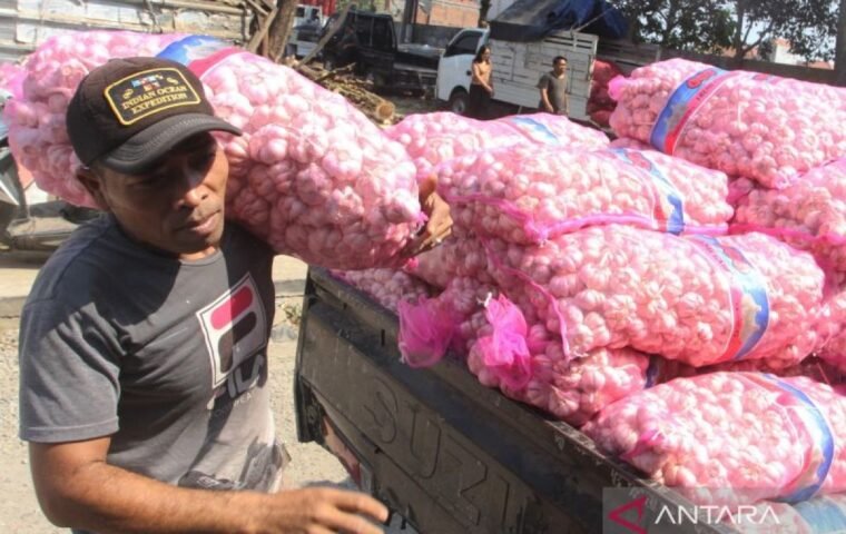 Usaha Menuju Swasembada Bawang Putih di Indonesia